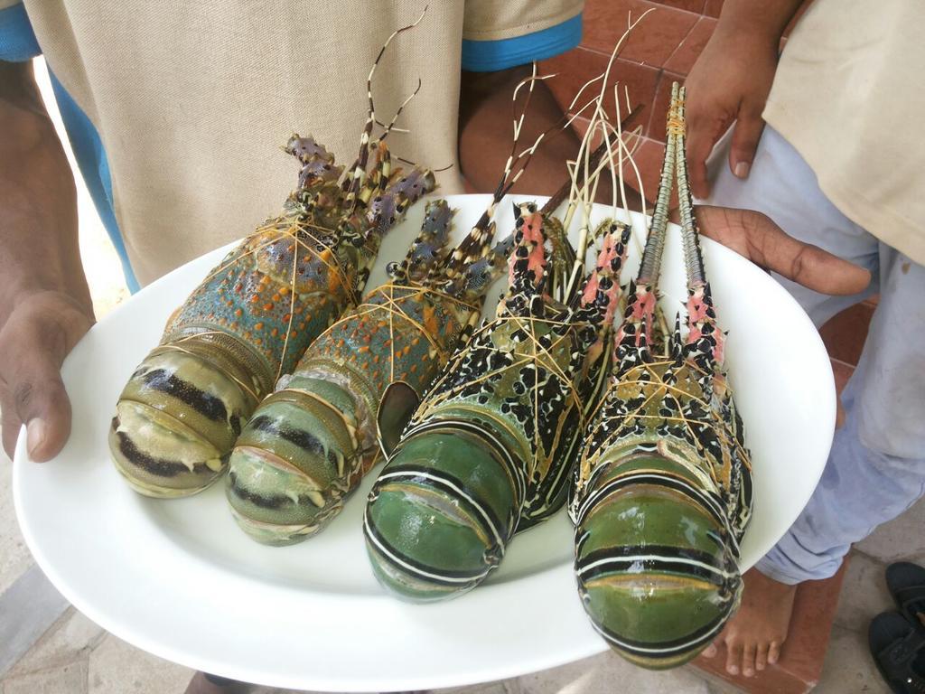 Wellé Wadiya Beach Hotel&Restaurant Kalpitiya Bagian luar foto